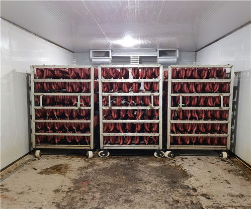 上海枸杞干燥機銷售商與木耳干燥機規格技術咨詢指南